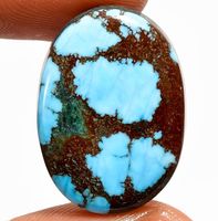 Cabochon L-7696 – Magnesit 22,5X16X4 mm 16,75 Karat gefärbt