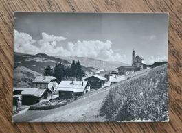Suscuolm 1970iger