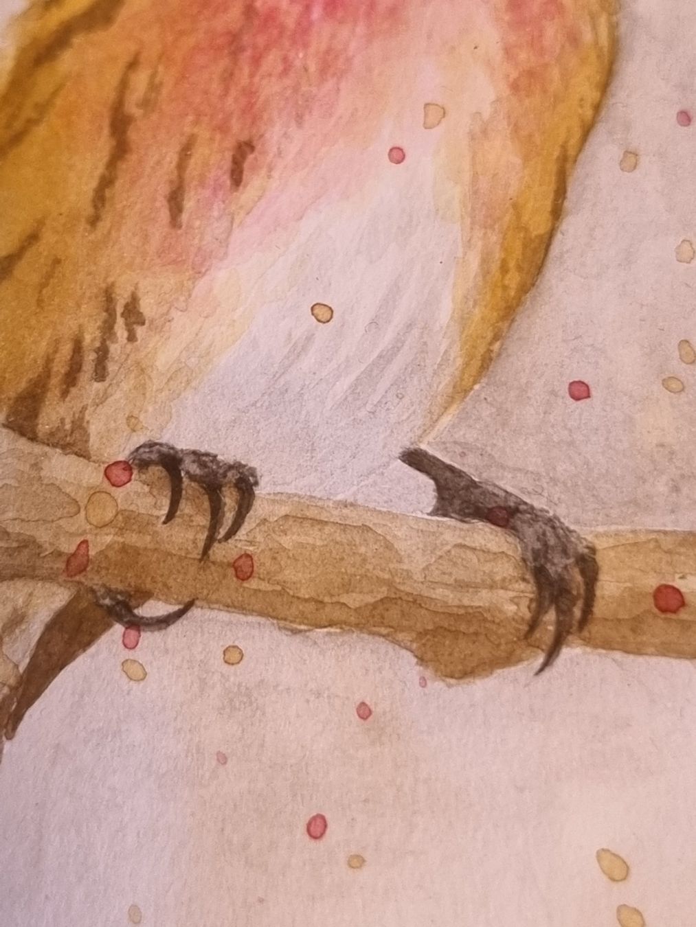 Dipinti: Handgemaltes Aquarell Vogel im Ovalrahmen – Usato da Scharnachtal venduto da devin03 4