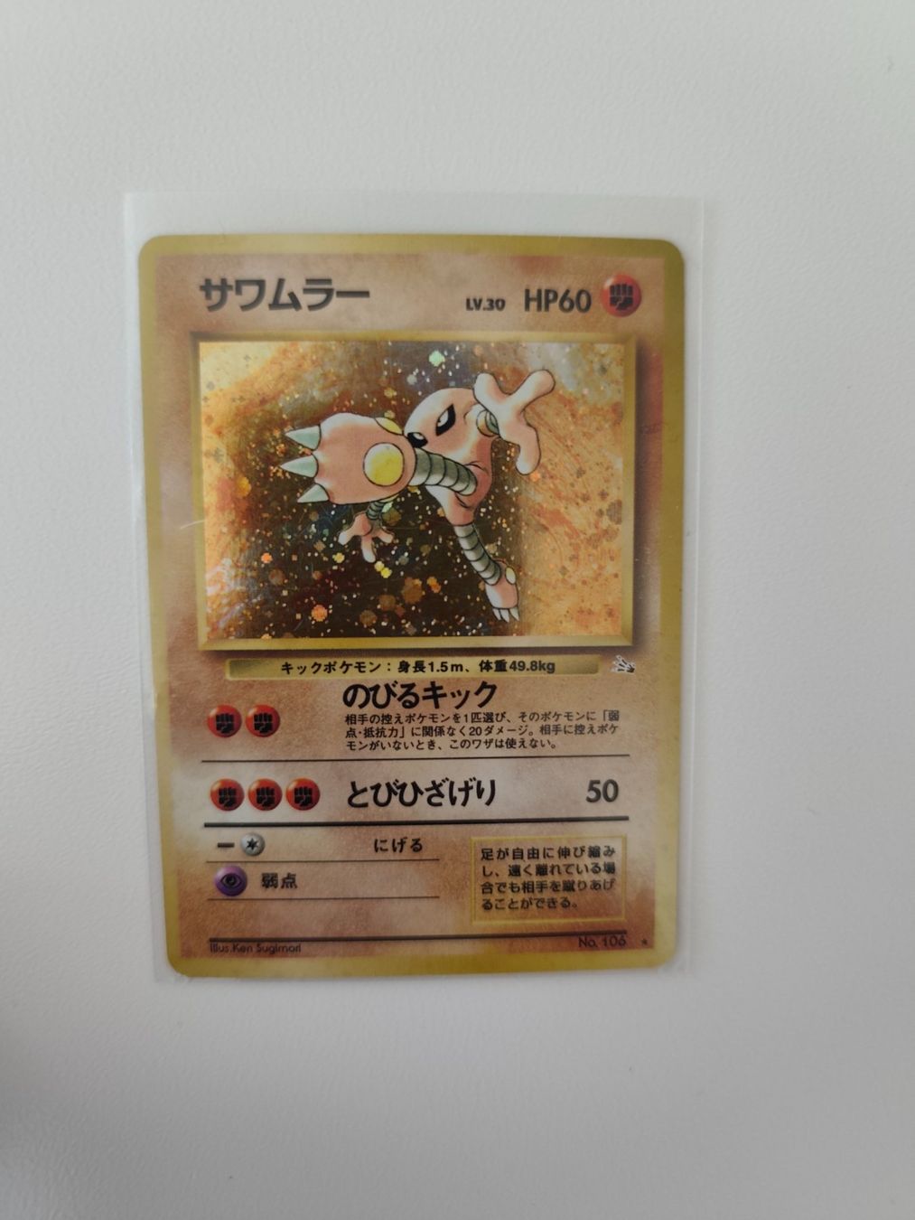 Pokémon Carte collezionabili: 2 alte Pokemonkarten JAP – Usato da Ennetbürgen venduto da andivr87 1
