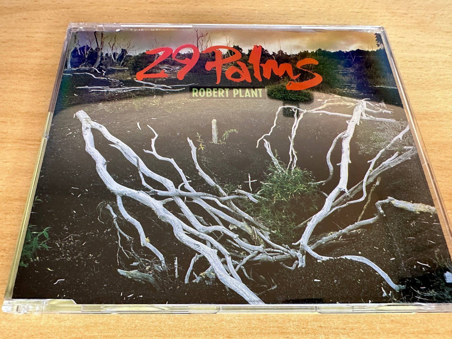 CD: Robert Plant – 29 Palms - Single CD – Usato da Rikon im Tösstal venduto da Alpenmutz