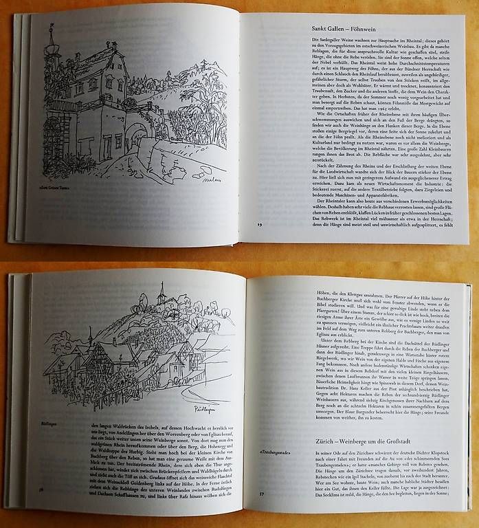 Libri: Ostschweizer Reben - Ostschweizer Wein – Usato da Bern venduto da janosh-08 2