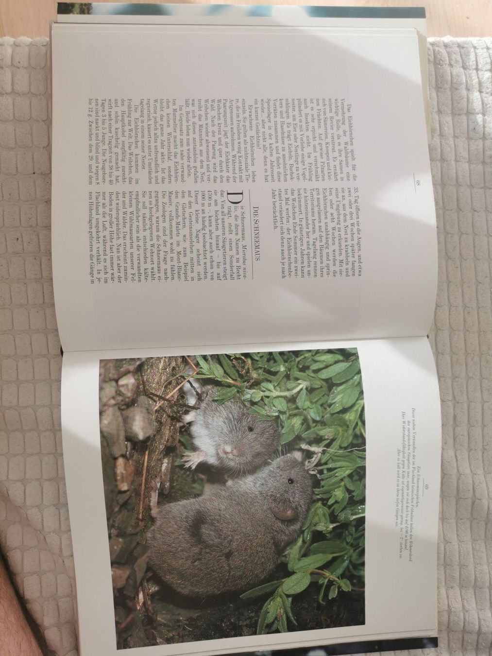 Libri: TIERE und,Blumen unserer Alpen – Nuovo (secondo la descrizione) da Bassersdorf venduto da roman 1