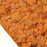 Natur-Moos orange zu Deko-Zwecken 25g