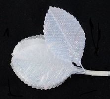 Blatt weiss irisierend 20 x 40mm