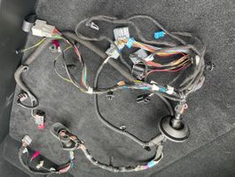 Tesla Modell S Kabelstrang Fahrertüre (Defekt)