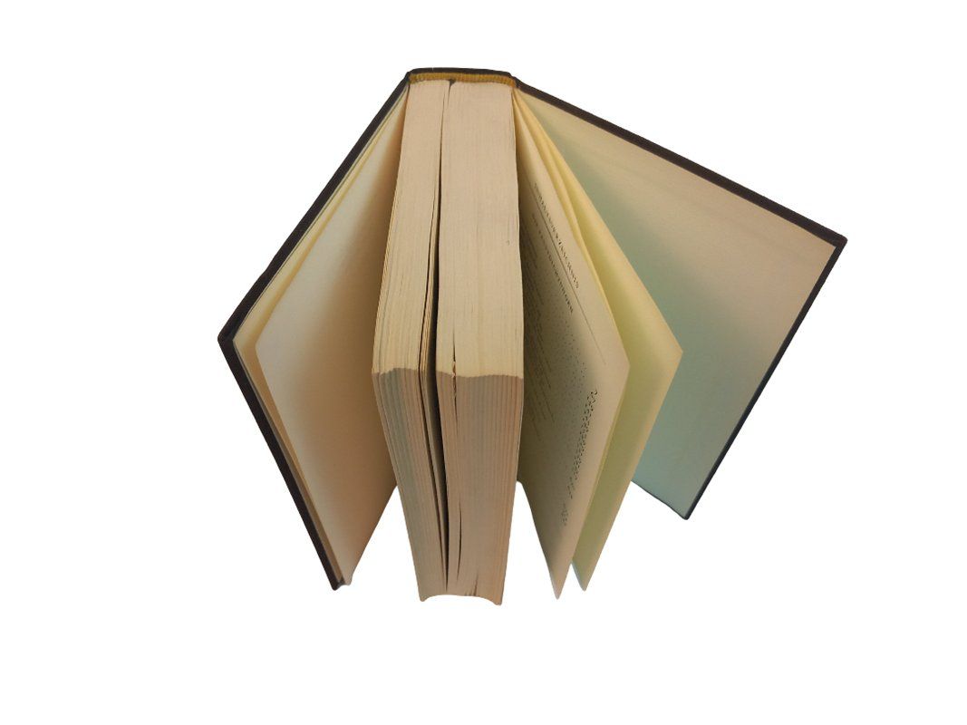 Libri: GOETHE GEDICHTE 1 Band 1 – Usato da Hünenberg venduto da Restwert_Zug 4
