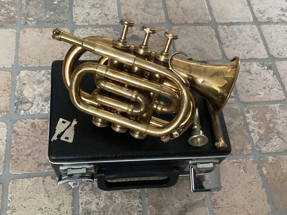 FIVAVA Alkoholtester Mit Sprachansage - Professionelles Promillemessgerät Mit 20 Mundstücken