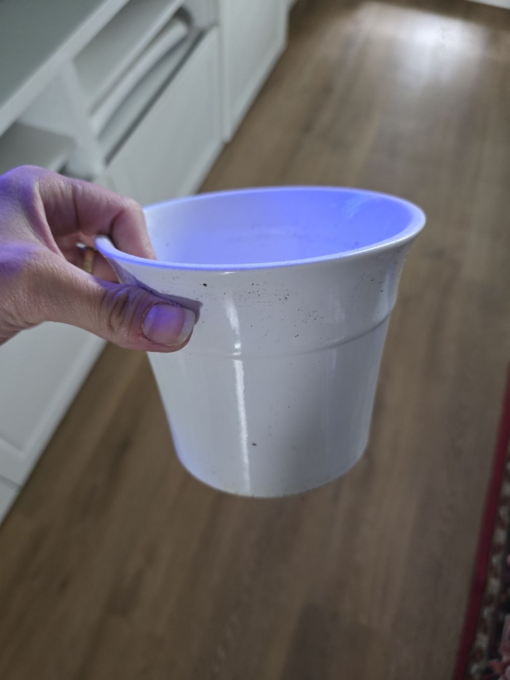 Vasi per fiori: Blumentöpfe für Innenbereich – Usato da Zug venduto da nic_wlj8 6