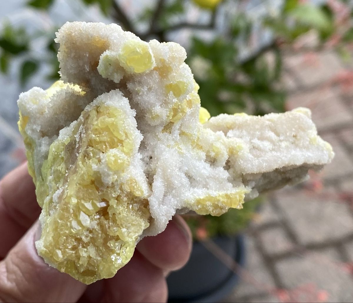Minerali & Pietre curative: Schönes Stück Schwefel  – Usato da Selzach venduto da 321compac 4