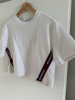 Lacoste Shirt Gr. M