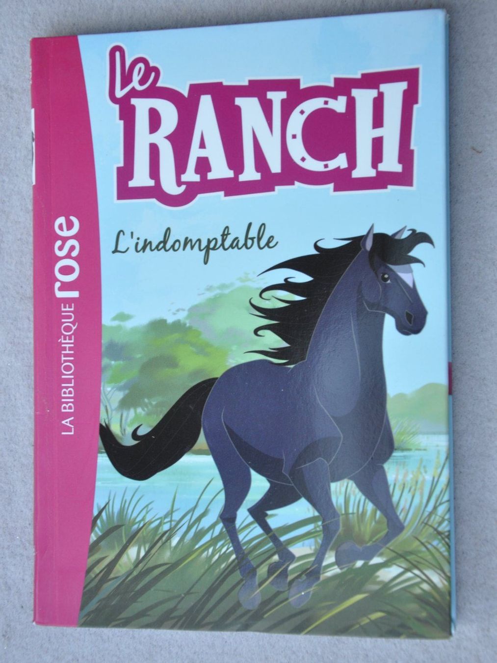 Libri: Le ranch : L'indomptable – Usato da Fully venduto da Minouchka