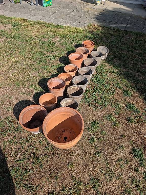 Pots de fleurs: Diverse Blumentöpfe – D'occasion à Hüttwilen par frolens123 2