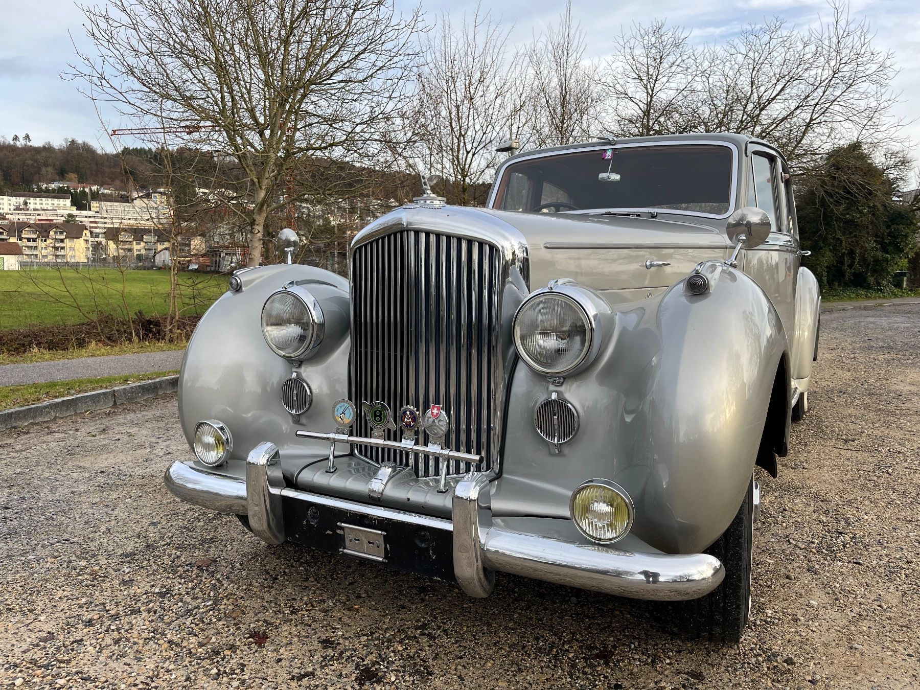 Automobili: Bentley R Type 1952 – Usato da Affoltern am Albis venduto da jan_8jnb 2