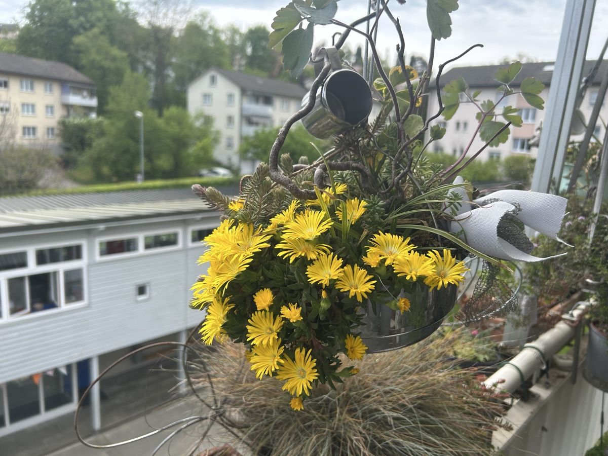 Blumentöpfe: Blumenampel  – Gebraucht aus Frauenfeld von Irene.Schuppli 6