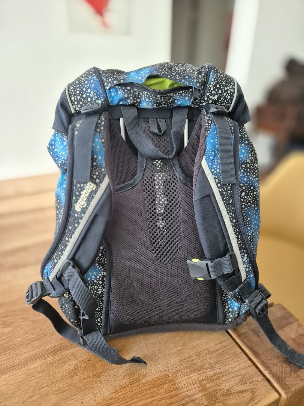 Ergobag Sacs à dos: Ergobag – D'occasion à Lenzburg par DobrzynM 1