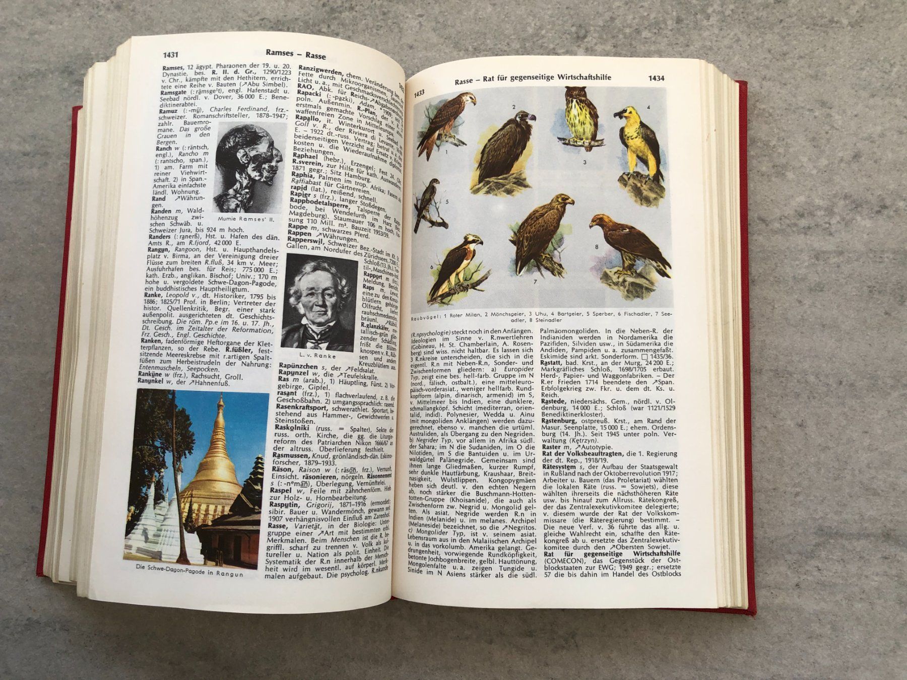 Libri: Lexikon HERDERS 1963 – Usato da Siebnen venduto da Trans-Am 7