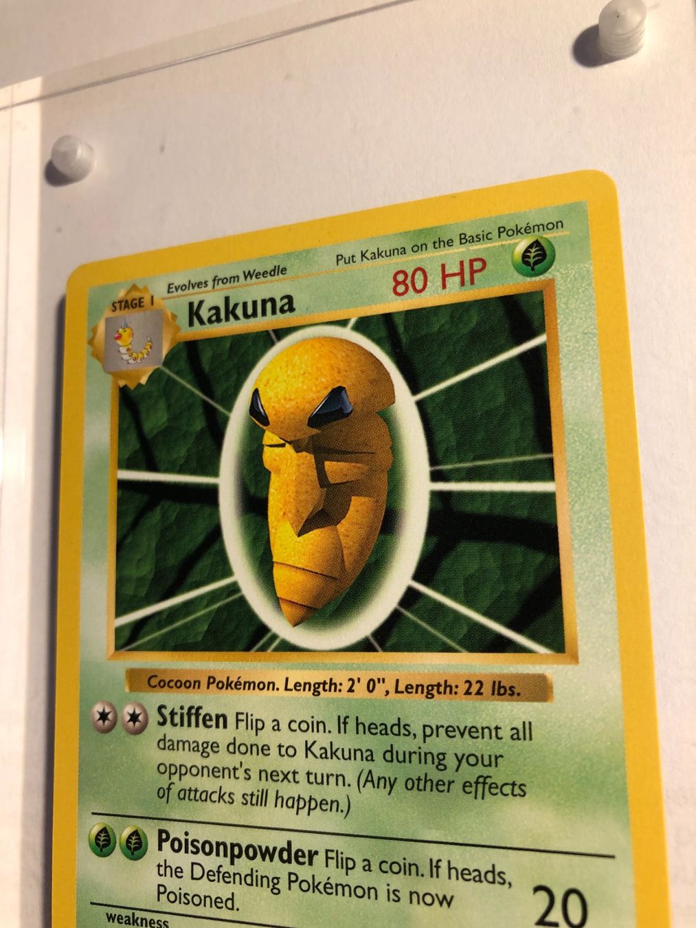 Sammelbilder & Trading cards: Kakuna (uncommon) Base Set Shadowless - MINT - ab 1.- – Gebraucht aus Giubiasco von dan_pr8b 3