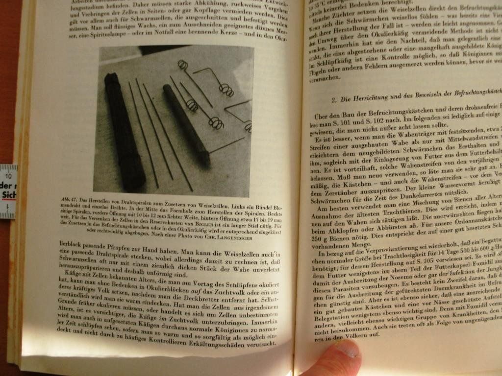 Libri: Die Rassenzucht bei der Honigbiene – Usato da Grenchen venduto da Kogi7 6