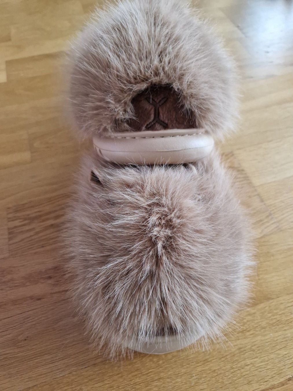 Scarpe da uomo: Capybara Hausschuhe, neuwertig, Gr. 34-35 – Nuovo (secondo la descrizione) da Buchs Sg venduto da Valedi 3