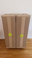 Neue Totem Acoustic Bison Tower Lautsprecher / NP CHF 3500.-