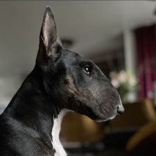 Profile image of PeterKessler
