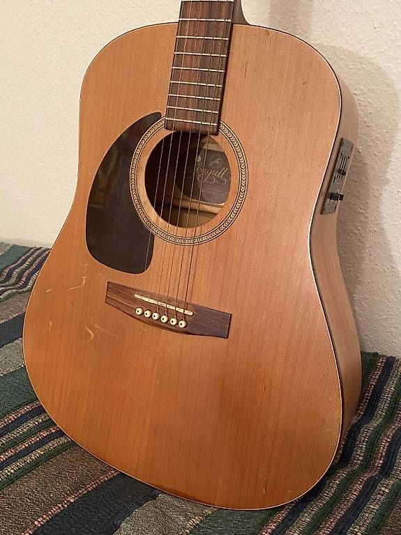 Strumenti musicali: Guitar Seagull Electro acoustique Left Hand – Usato da Carouge GE venduto da Domblo 1