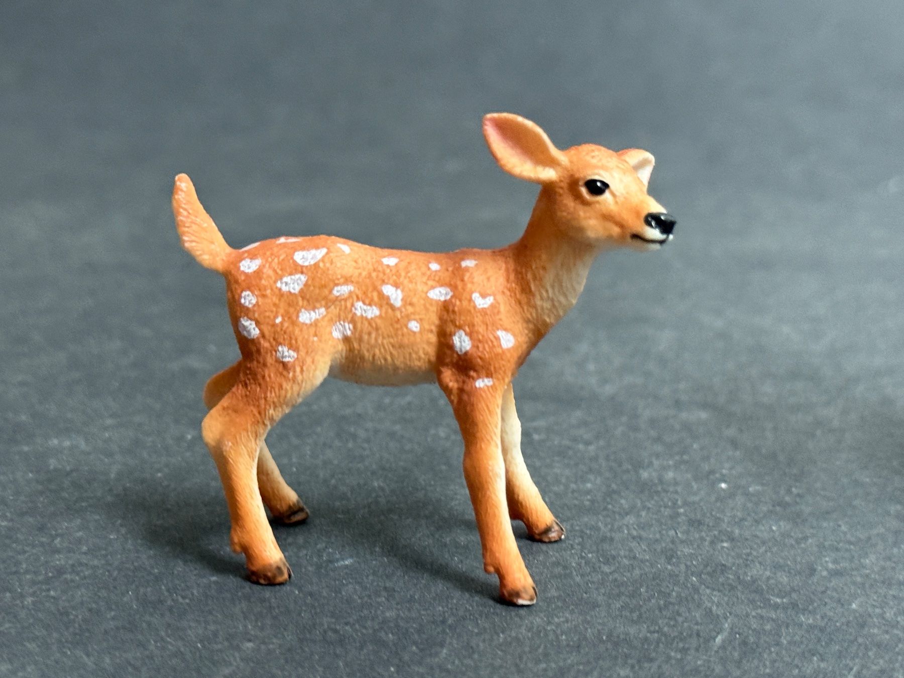 Schleich Statuette: Schleich Weisswedelhirsch Hirsch Kuh – Usato da Ennetbaden venduto da mapa05 3