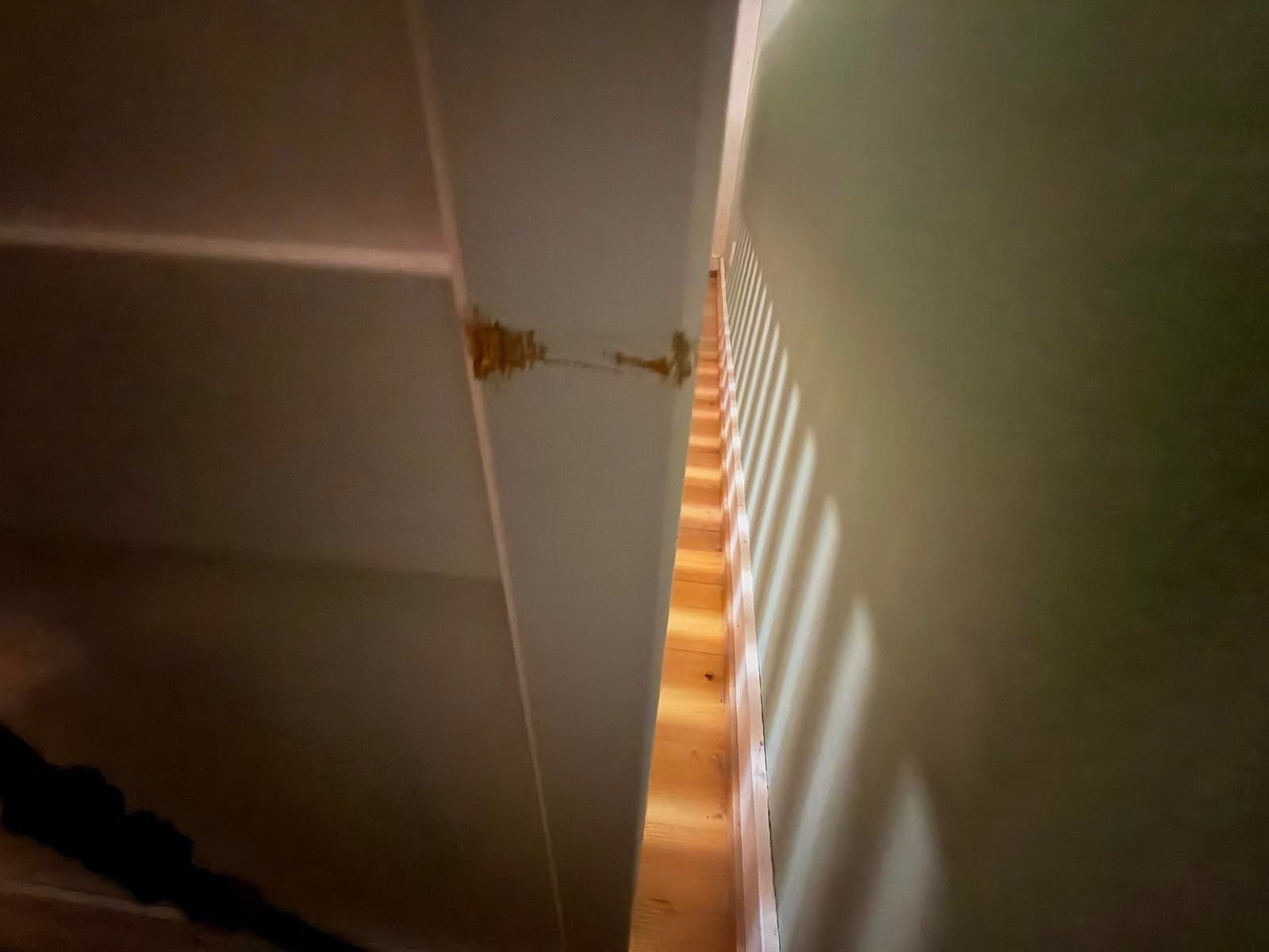 Flexa Betten: Flexa Bett Freja gratis abzugeben. – Gebraucht aus Münchenstein von Migge05 3