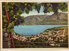 Locarno, Trauben