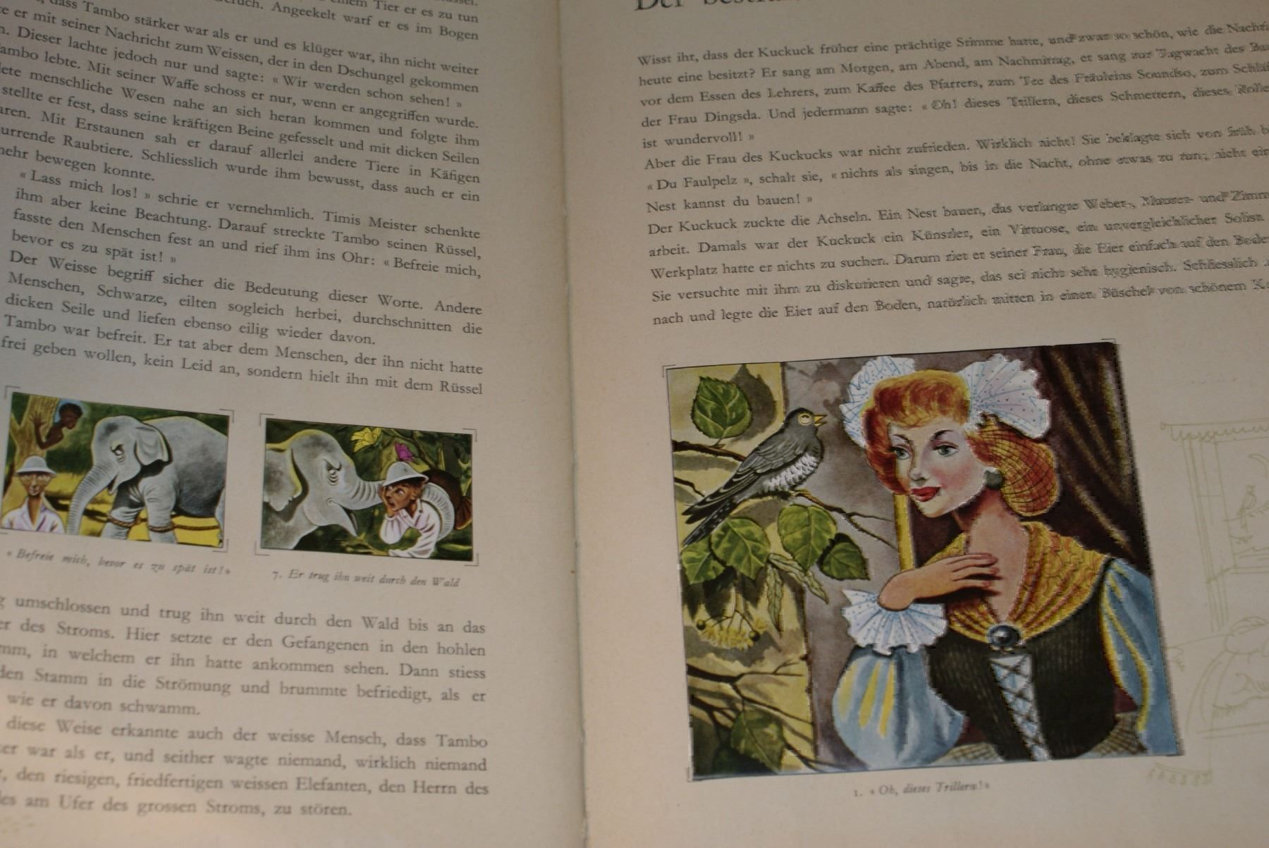 Libri: (C)Tiermärchen Band 2,Nestle peter usw – Usato da Buchs AG venduto da Buchhandel 4