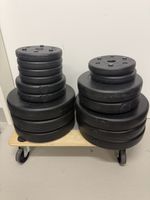 Complete Weight Set – Barbell, EZ Curl Bar, Dumbbell Handles