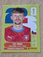 Panini FIFA WORLD CUP 2026 CZE 14 Pavel Sulc