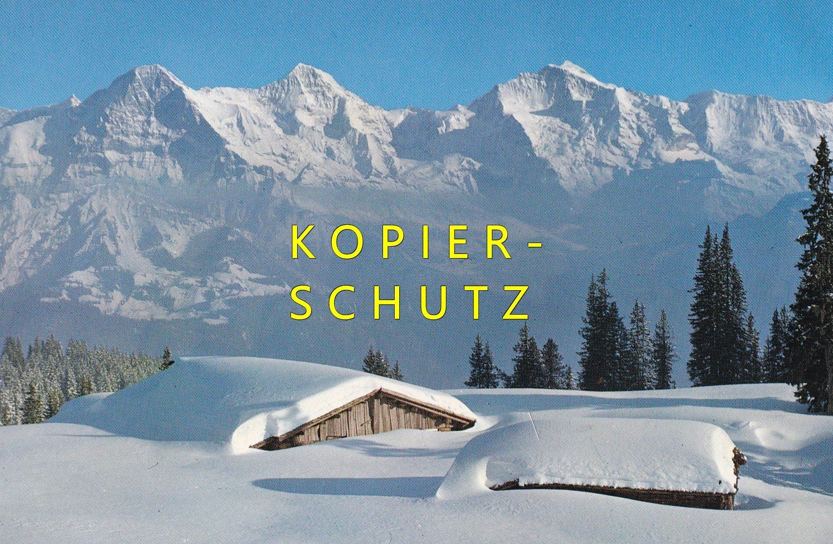 Cartoline postali: Eiger, Mönch und Jungfrau /bo – Usato da Hombrechtikon venduto da Rudolf07
