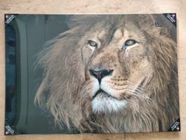 Wandbild Löwe Deco-Canvas ungeöffnet / originalverpackt