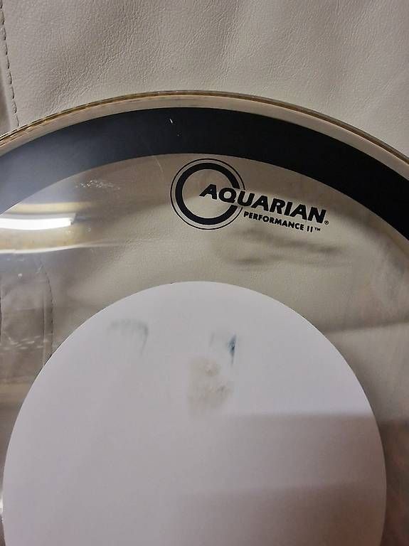 Musikinstrumente: Aquarian PFPD16 Performance II ClearDot – Gebraucht aus Mur (Vully) FR von Bigwhite 4