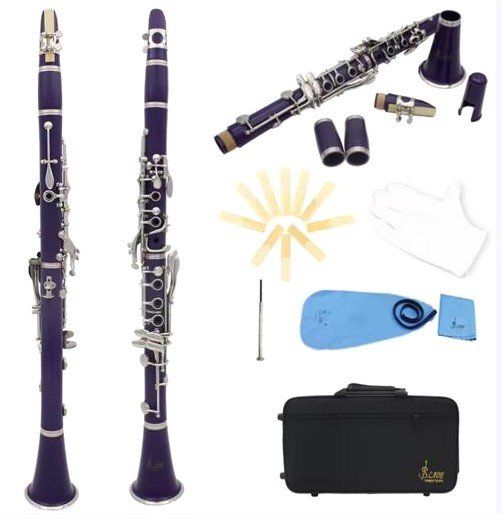 Strumenti musicali: Klarinette violette - ganz neu und wunderschön – Nuovo e nell'imballaggio originale da Villnachern venduto da Durot