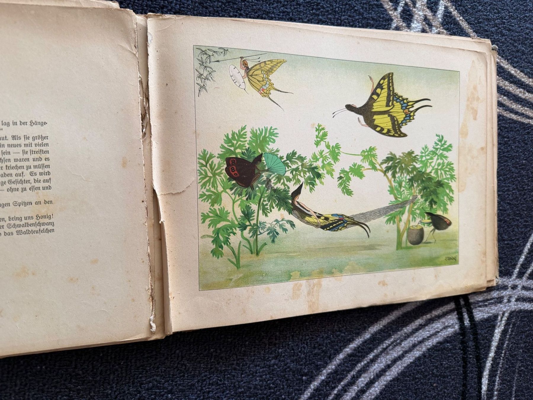 Libri: Sommervögel, Märchen von E. Kreidolf – Difettoso da Ossingen venduto da kimpossibel 3