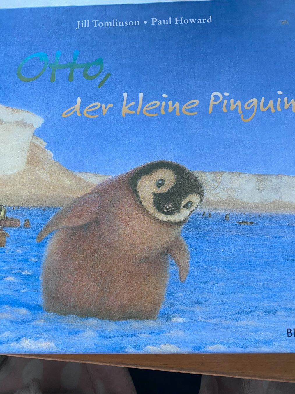Libri: Otto, der kleine Pinguin – Nuovo (secondo la descrizione) da Sachseln venduto da basti1950