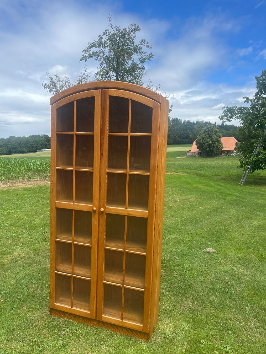Vetrine: Vitrine mit 2 Türen – Usato da Allmendingen b. BE venduto da juair 6