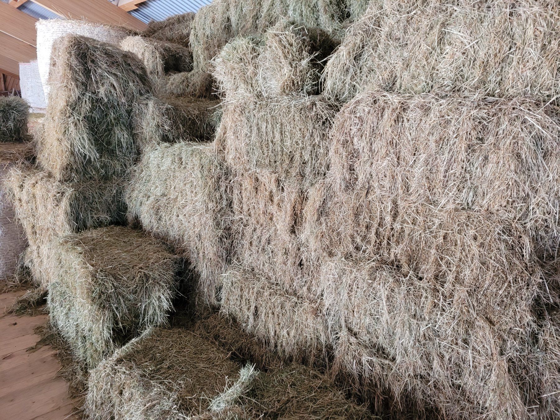 Mangimi: Emd/ Heu Kleinballen – Nuovo e nell'imballaggio originale da Büren SO venduto da baschi87