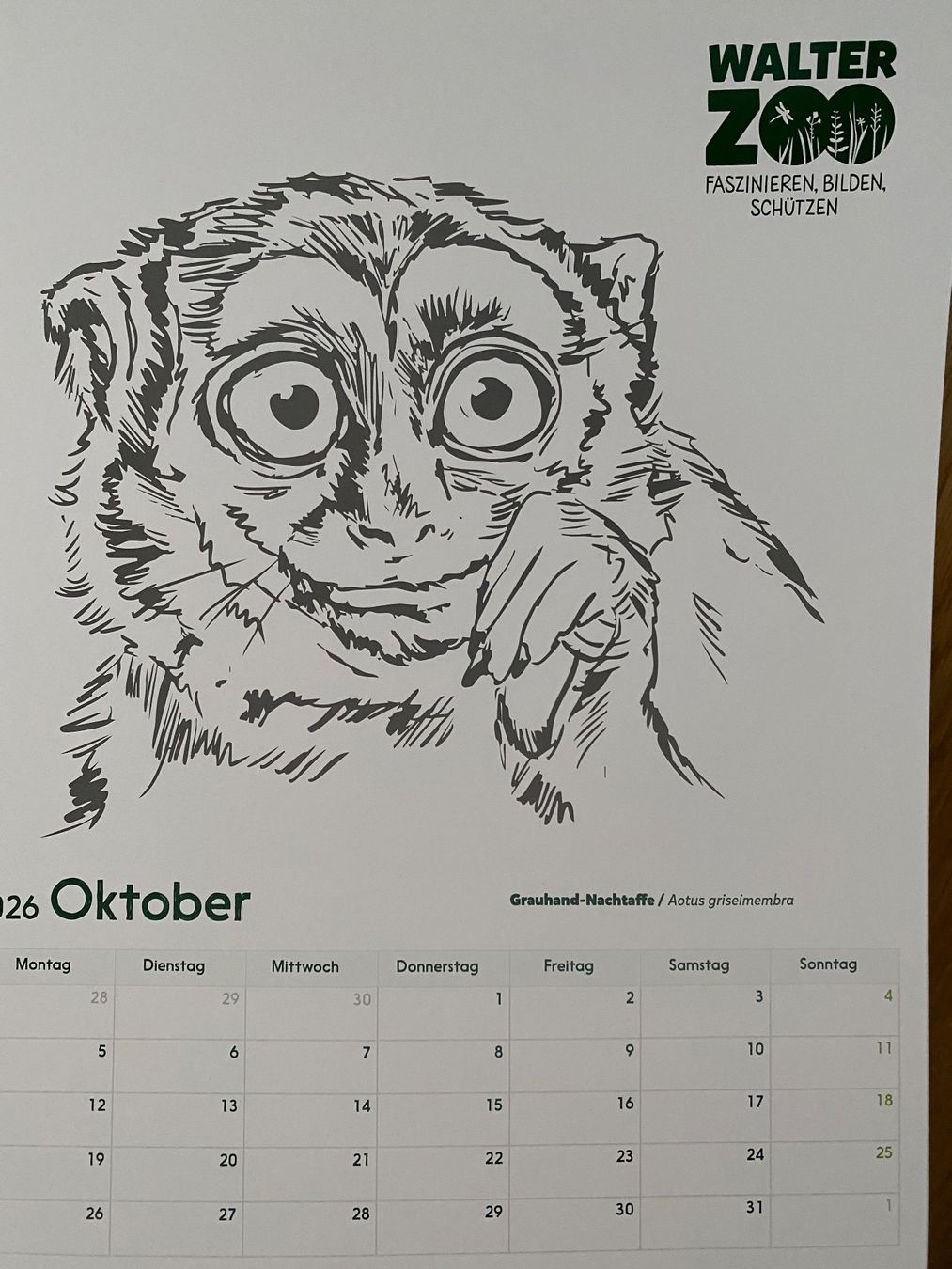 Kalender: Walter Zoo Kalender 2026 – Neu (gemäss Beschreibung) aus Trachslau von RetoM1982 2
