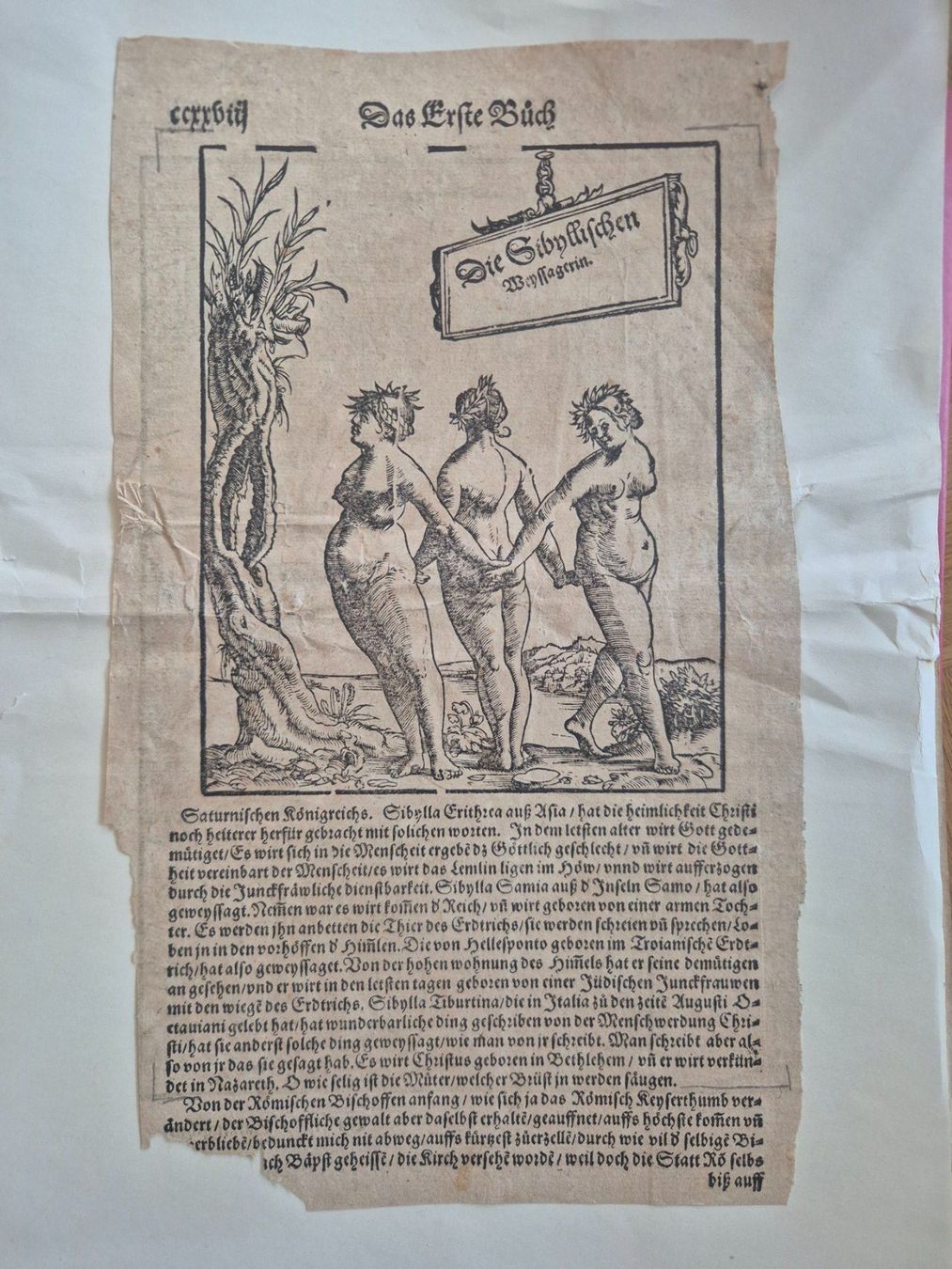 Posters & Illustrations: Das erste Buch Die Sibyllischen Weissagerin – D'occasion à Langendorf par zvonu161 1