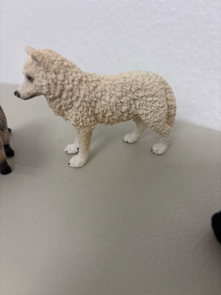 Statuette: Wildtiere Set: Bär, Wolf, Stinktier, Waschbär – Usato da Kriens venduto da mir_v8ww 2