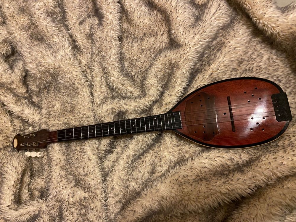 Slavonka Tamburica Bisernica E Kaufen auf Ricardo