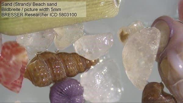 Microscopi: Bresser Researcher ICD 20-80x – Nuovo e nell'imballaggio originale da Bottighofen venduto da zaap 6