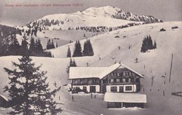 Jaunpass über dem Simmenthal Teilansicht Stempel Alpenrose