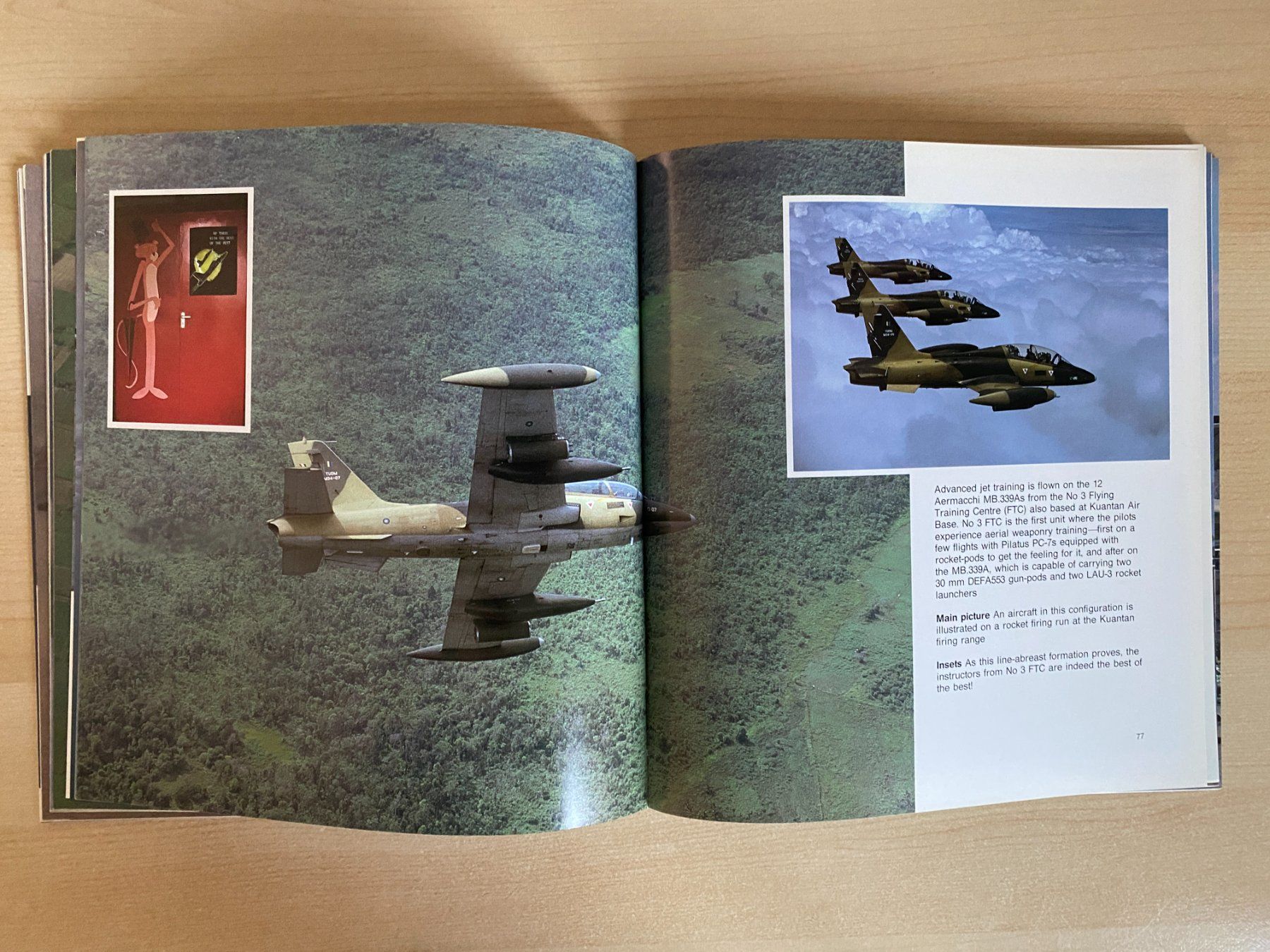 Modellbausätze & Standmodelle: Modellbau Doku - Asian Air Power – Gebraucht aus Koppigen von F4Fan 6