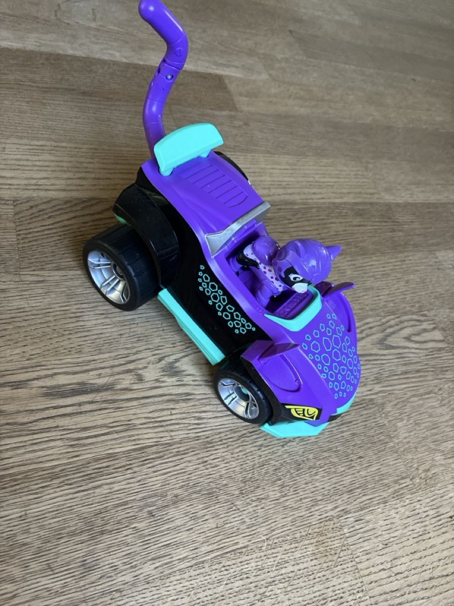 Giocattoli: Paw Patrol Auto und Figur  – Usato da Liebefeld venduto da dschegi 1