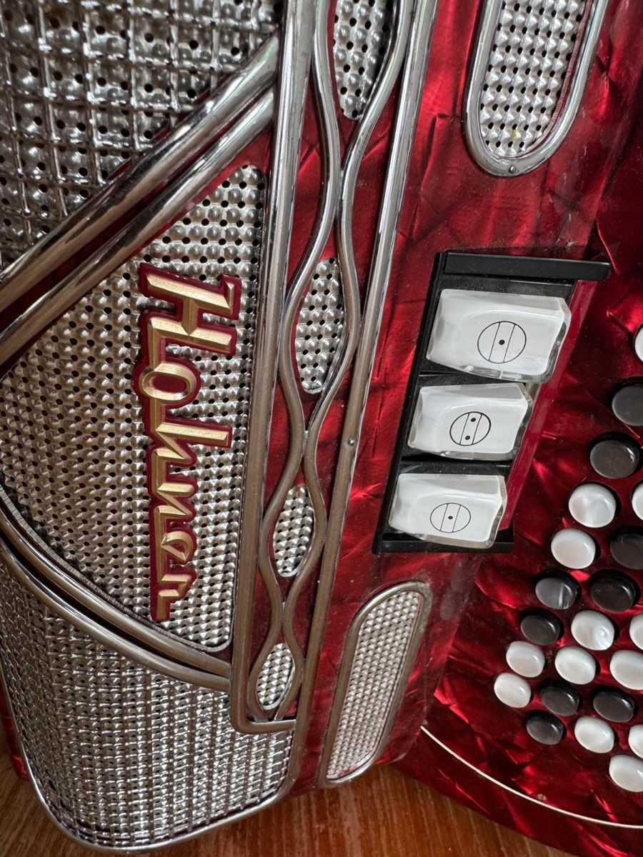 Hohner Strumenti musicali: Hohner Riviera II Akkordeon – Usato da Meilen venduto da Liebling_sachen 1
